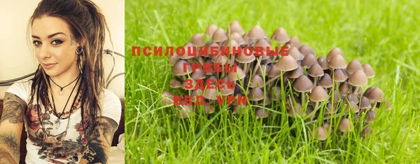mix Алексин